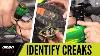 Identify Creaks Noises On Your Mountain Bike Gmbn Tech How To