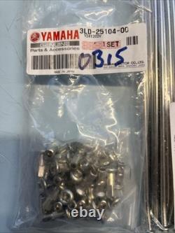 Yamaha TTR250 TT 250 R Genuine Yamaha Spoke Set Nipples 1993-2004 Front & Rear