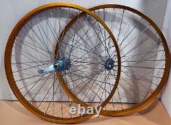 26 Roues de Vélo avec Freins à Coaster Avant et Arrière en Alliage Renforcé 12g rayons argentés